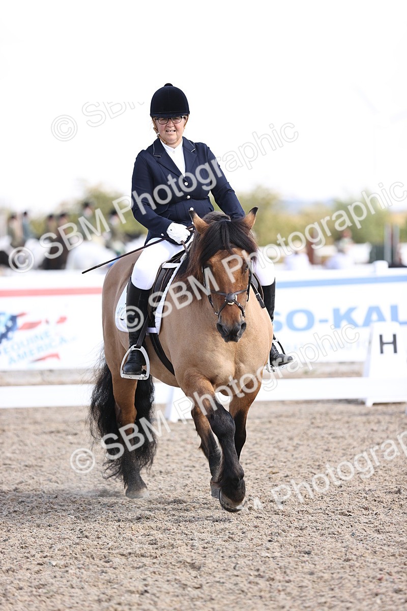 SBM_03590 - CLass 35 Intro 3