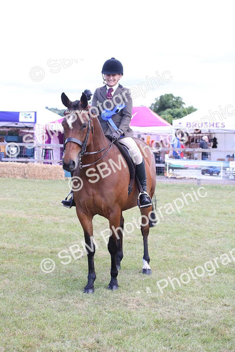 SBM_13269 - Class 95-96 - LIHS BSHA Rising Star Hack Riding Horse