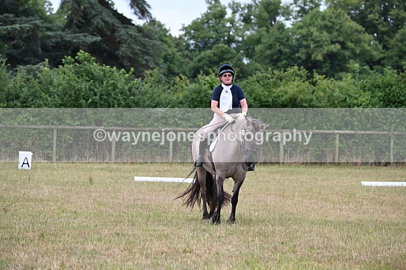 WJ6_1446 - Time 10:28 to 10:40