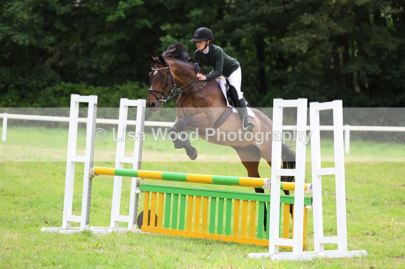 3E7A7296 - Class 5: Senior British Novice/90cm open