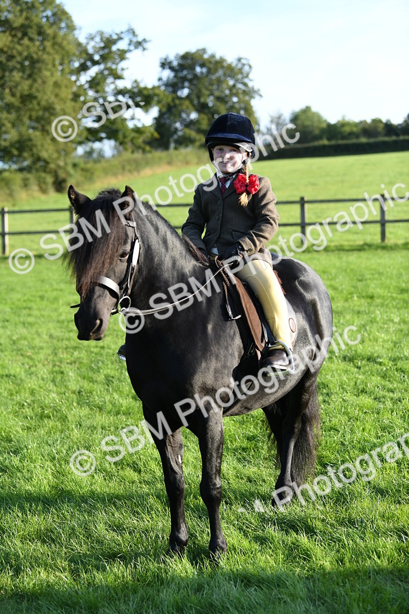 SBM_54128 - S23 - 1st Ridden Mountain & Moorland Pony