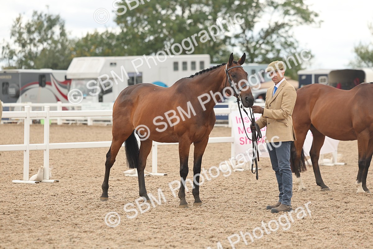 SBM_17127 - Class 313 - IH Retired Racehorse