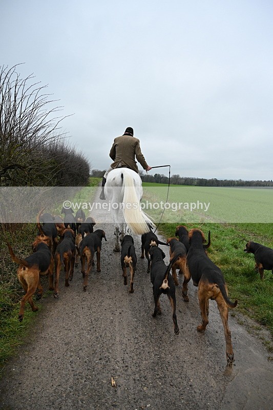 WJ7_9608 - Walk out..