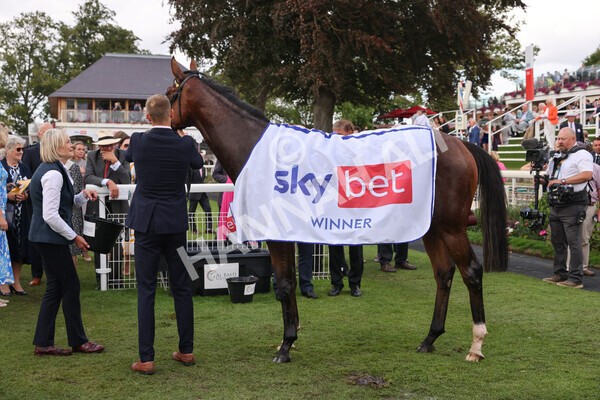 yr20082022r2-64 - Race 2 2.35pm Sky Bet Melrose Stakes