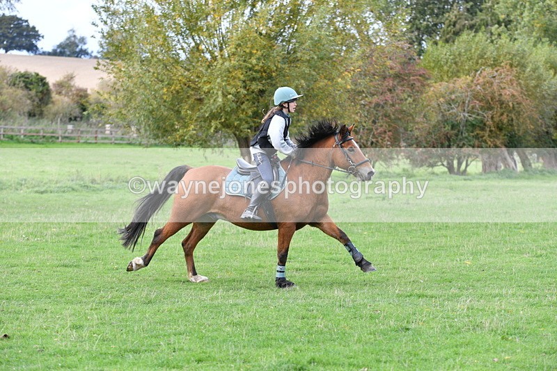 WJ5_0441 - Time 13:59 to 14:28