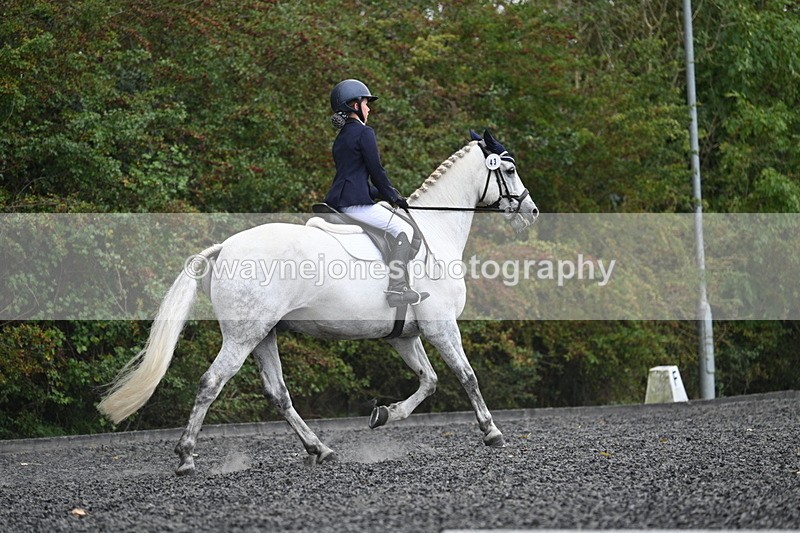 WJ7_6583 - Time 14:49 to 15:14