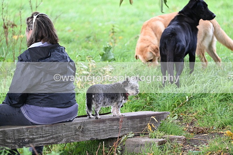 WJ7_0805 - Time 14:27 to 15:11