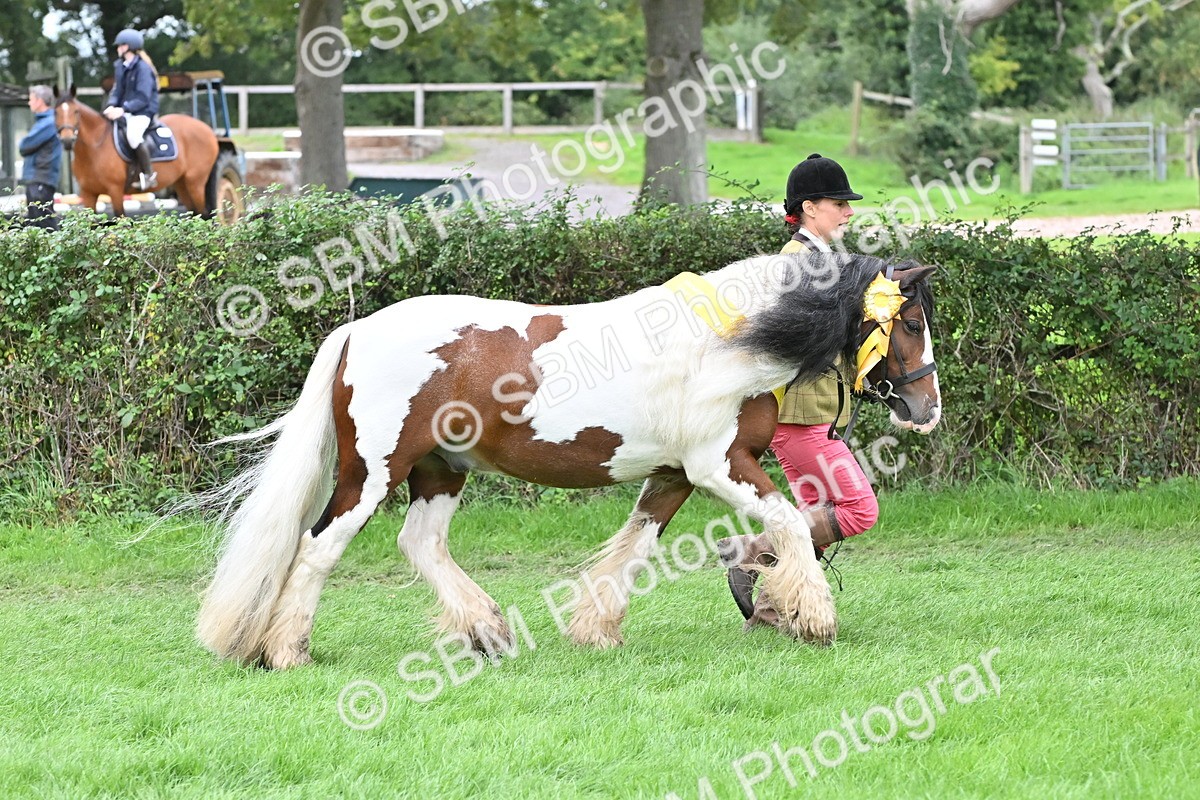 SBM_65006 - In Hand Pony & Younstock Supreme Championship
