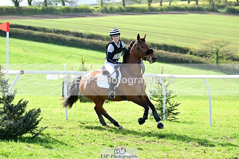 260418-100500-00595 - D-153-Poppy.Yeoman