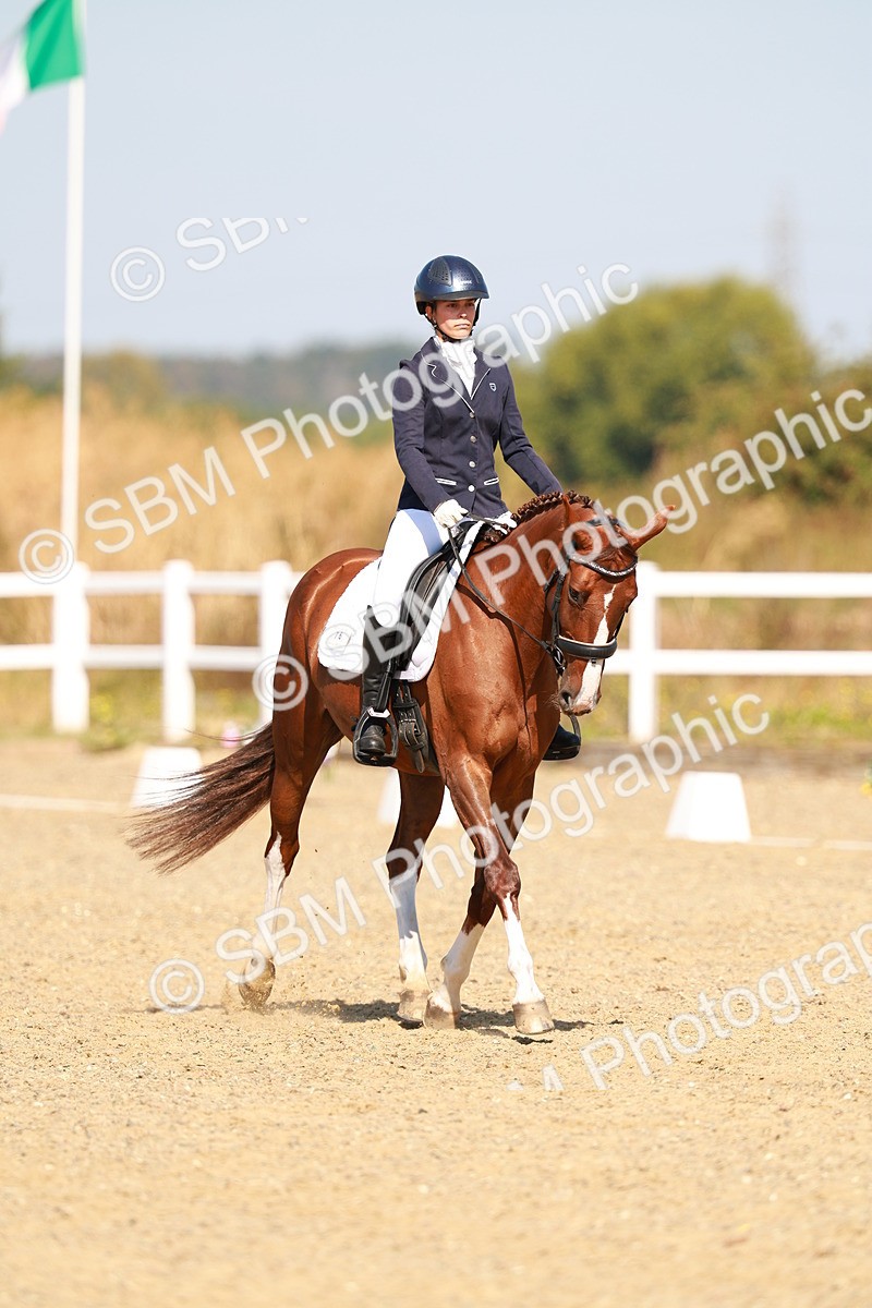 SBM_017604 - Class 9 - N5 Bronze 10.33.11.36