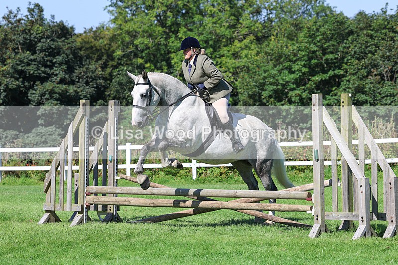 3E7A8244 - Class 4: Novice working Hunter