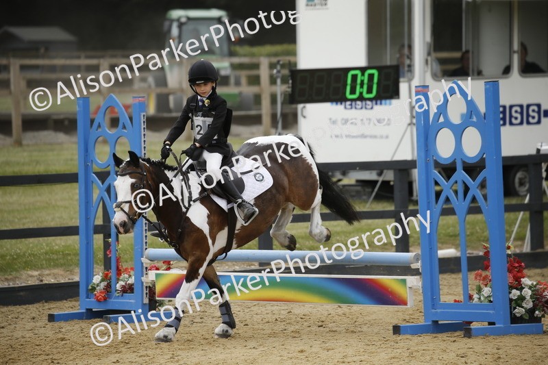 20250622-6060 - 60cm