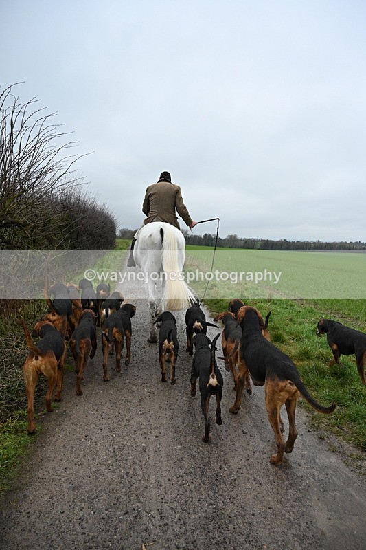 WJ7_9610 - Walk out..