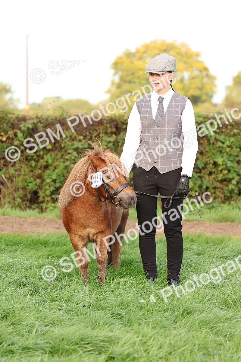 SBM_54828 - S39 - Starters In Hand Showing