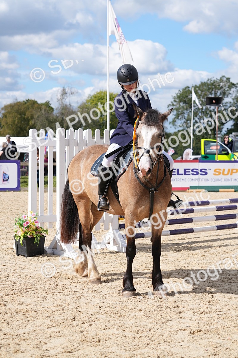 SBM_38931 - J21 - Junior Horse 60cm Championship