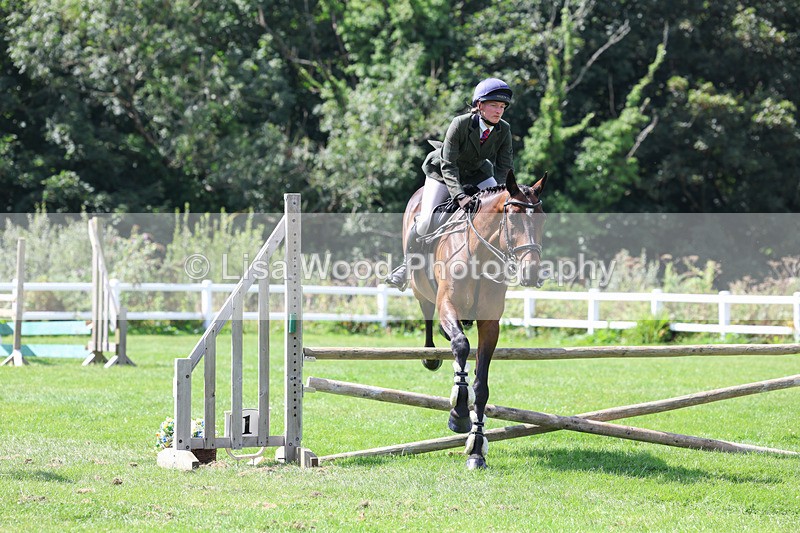 3E7A8903 - Class 6: Open Working Horse