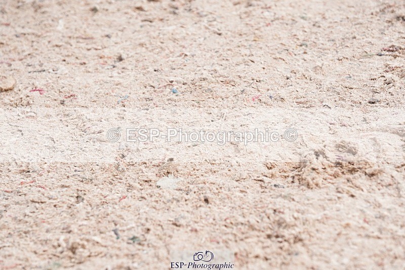 250426-111836-11951 - Cls 31 Young Horse 6yr old