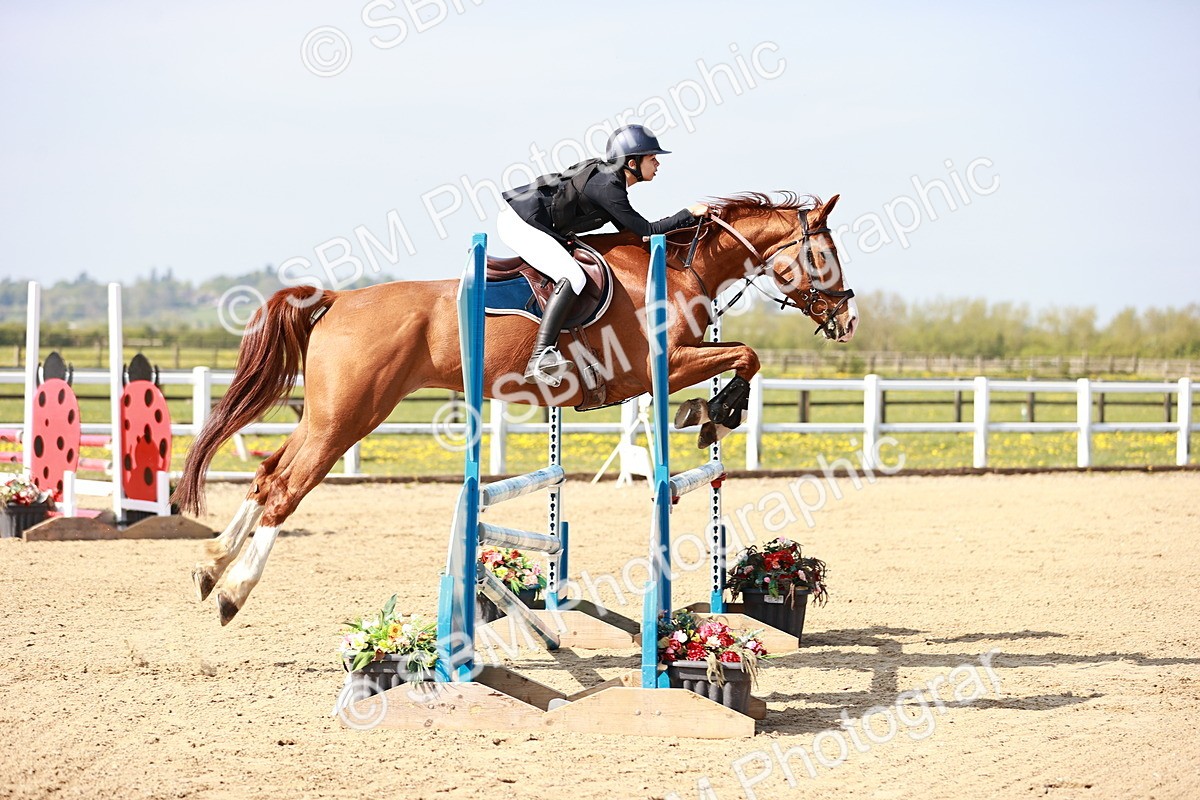  - Class 21 - Senior British Novice - 90cm
