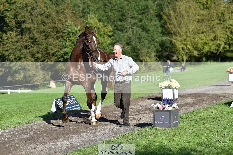 231022-104952-23523 - 447-STALLONE-Andrew.Winterton-TrotUp+SJ