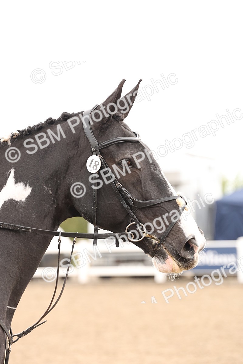 SBM_06723 - Class 58a -  Style & Performance - 70cm (15-19)