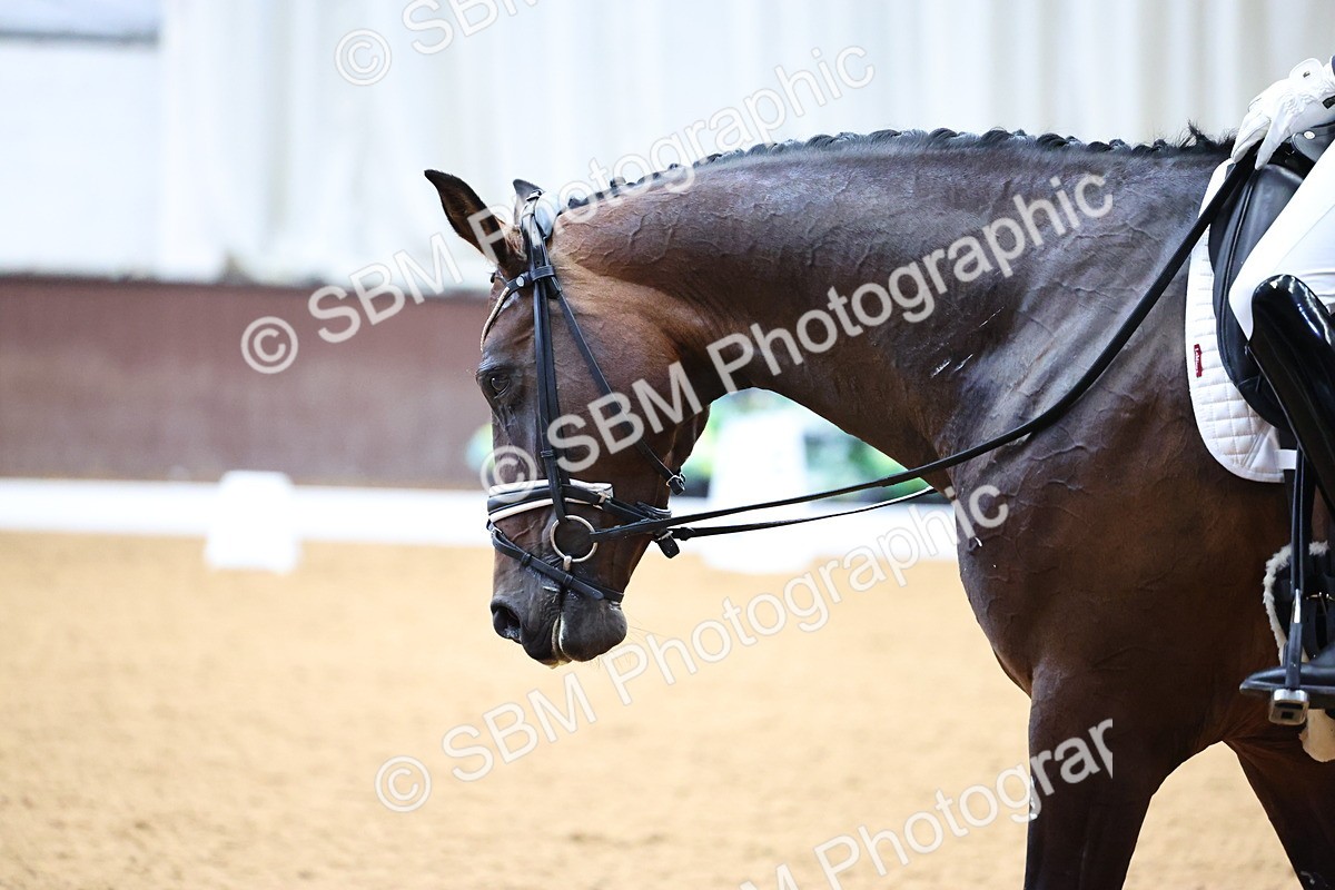 SBM_005345 - Class 5 - Novice 6 - 9.30-10.33