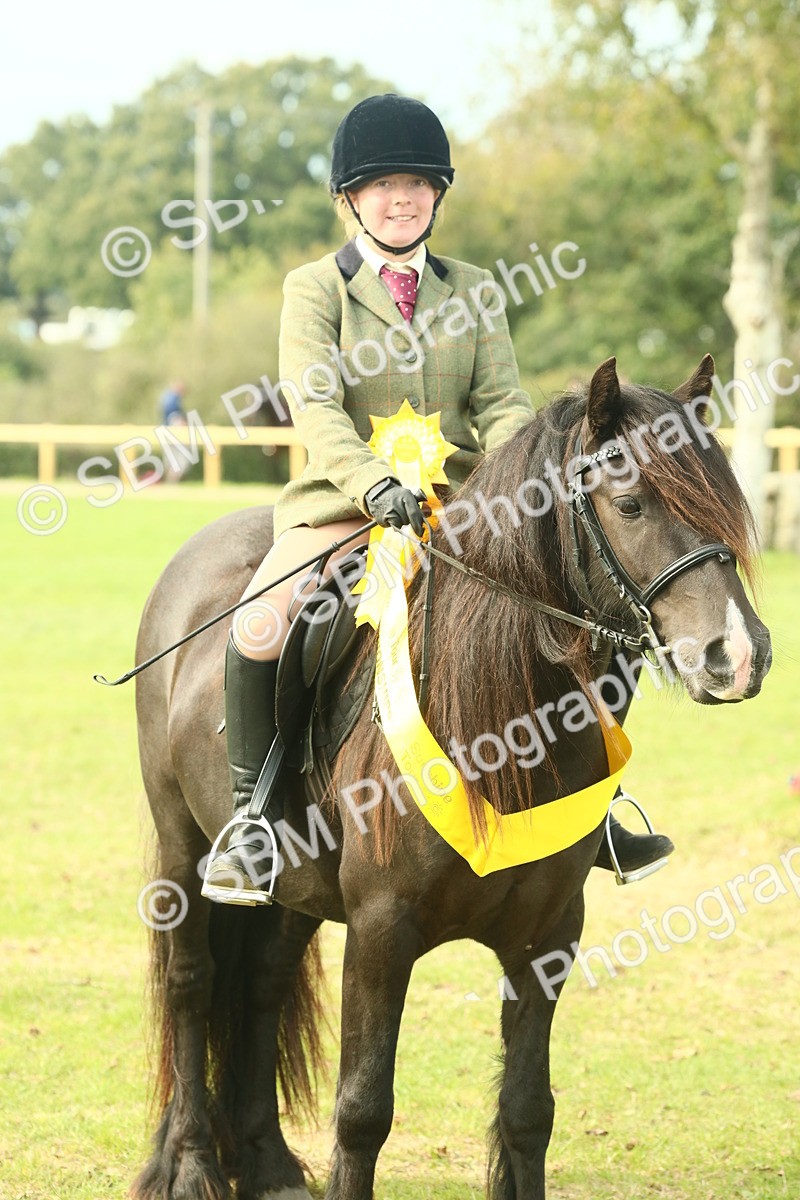 SBM_69411 - S58 - Mini Show Cob Ridden
