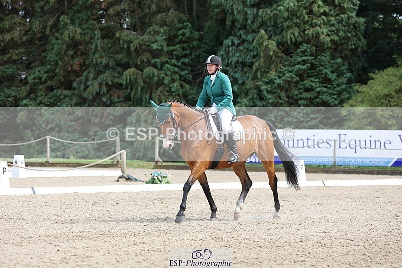 250718A-153200-02601 - 152-Tracy.OKennedy-Wylye.Harlequin