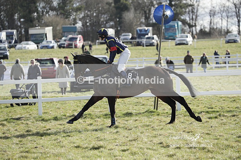 PtP 260223 926 - South & West Wilts Point-to-Point Larkhill 26/02/23