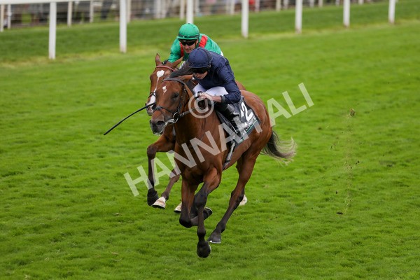 210824-Race 4-City Of Troy-7303 - Race 4 3.35pm Juddmonte International Stakes