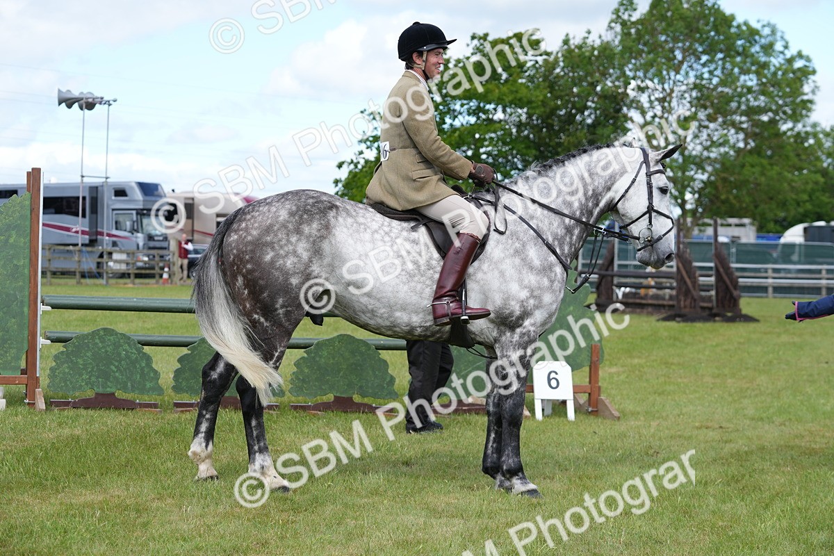 SBM_14838 - Class 100-102 - RIHS Working Hunter