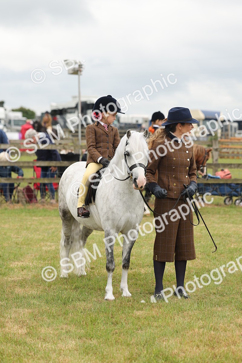 SBM_06747 - Class 74-75 - M&M Lead Rein and First Ridden Pony
