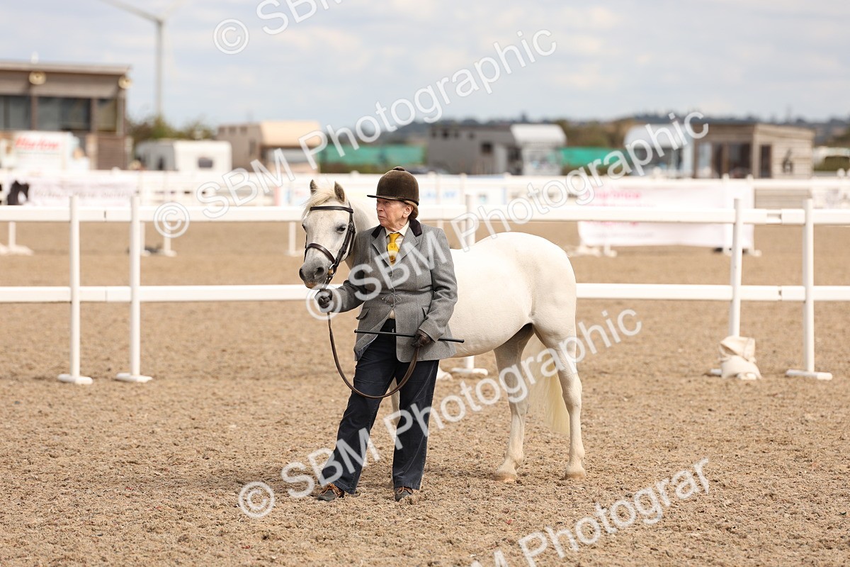 SBM_15133 - Class 209 - IH Veteran Pony