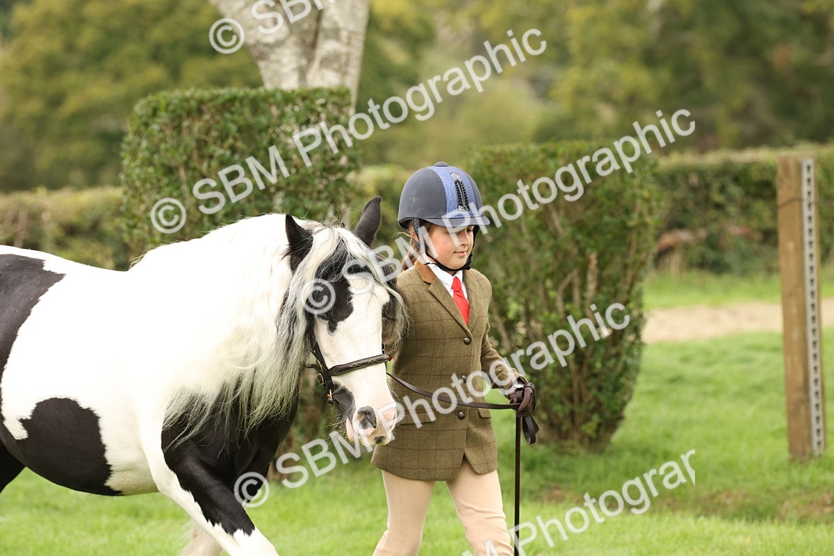 SBM_59215 - S57 - Traditional Cob In Hand