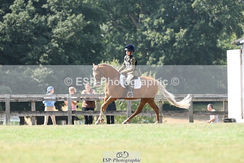 250823A-135551-31394 - Arena D