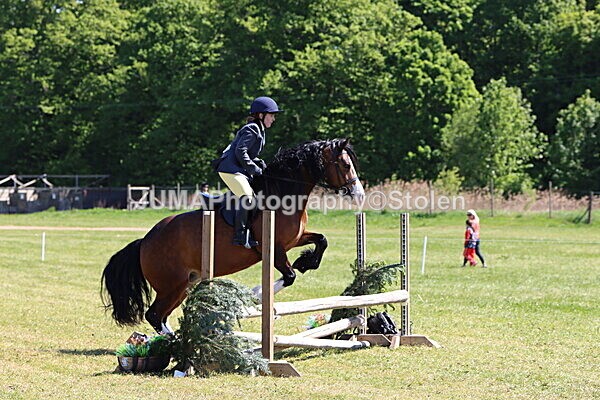 IMG_4045 - Working Hunter