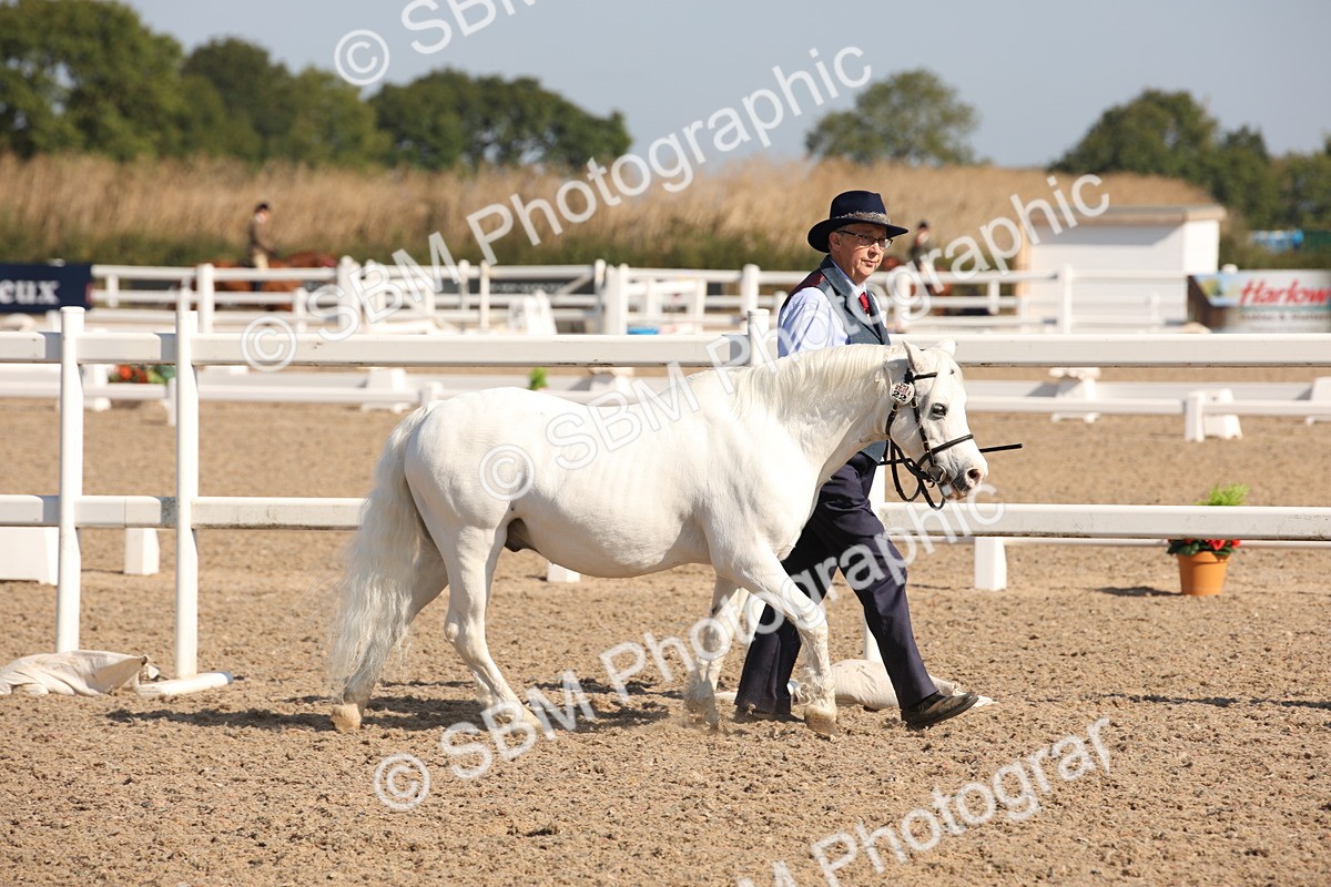 SBM_02649 - Class 16 IH M&M Wildcard