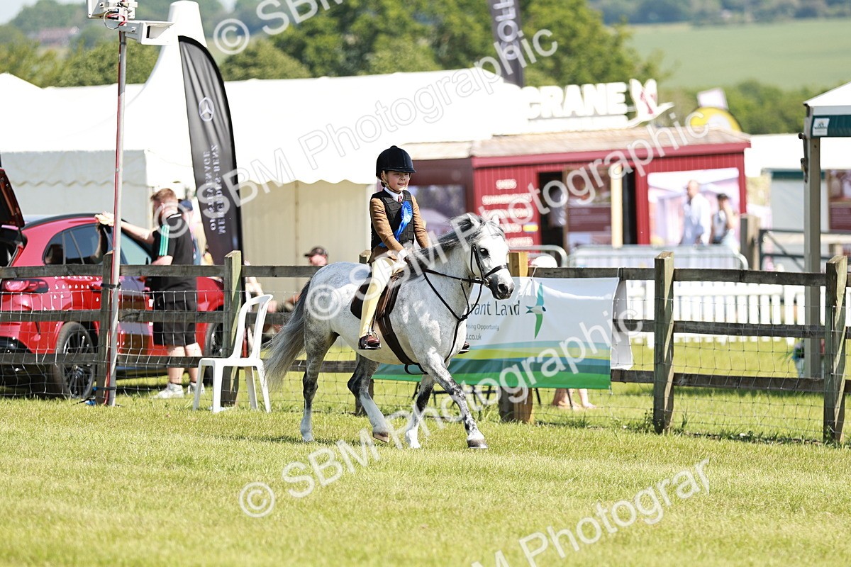 SBM_12837 - Class 106-107 - BSPS LIHS Working Sports Pony