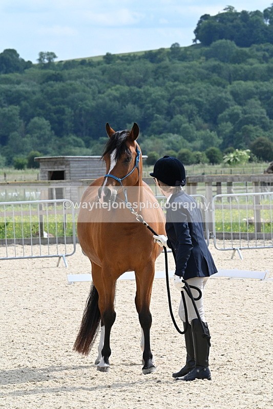 WJ7_8165 - Time 16:10 to 16:25