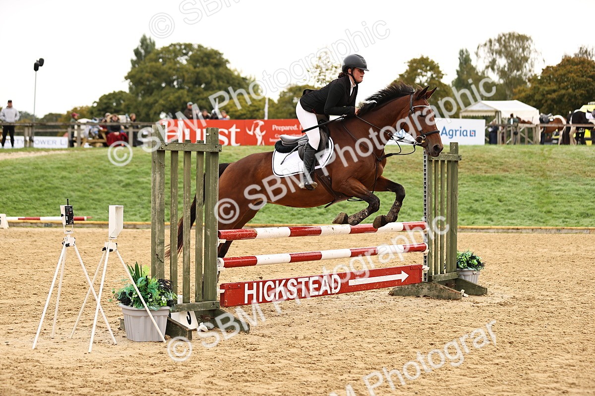 SBM_58310 - J41 - Grand Tour Horse & Pony 95cm