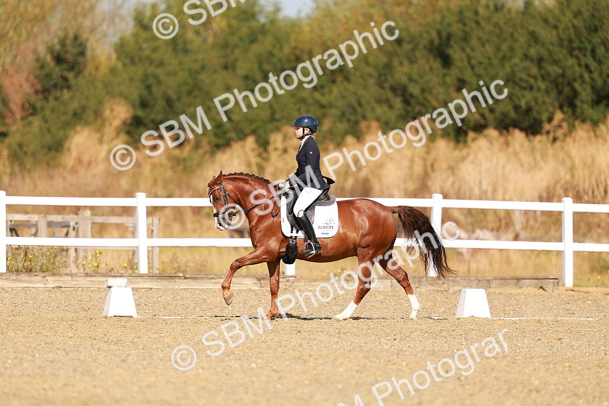 SBM_016832 - Class 9 - N5 Bronze 9.30.10.19