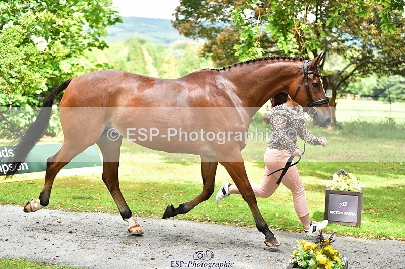 240522-153824-00490 - 382-WIL_JACK_B_KING-Charlotte_Parry-Ashcroft