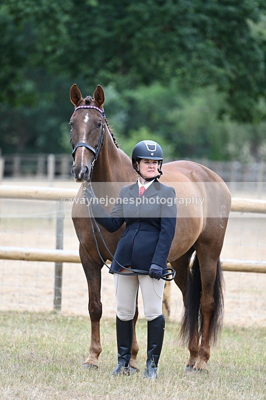 WJ7_9836 - Class 5a Most Handsome Gelding (above 14.2hh)