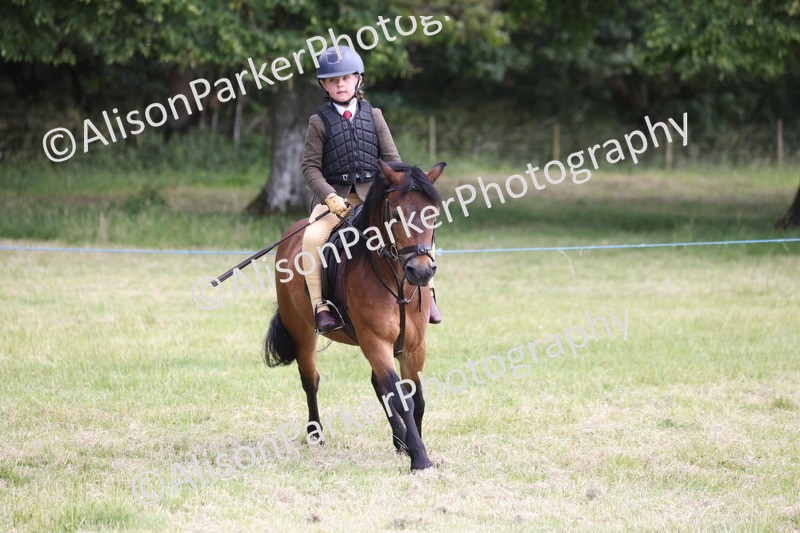20260614-1828 - Class 21 - Novice Working Hunter Pony