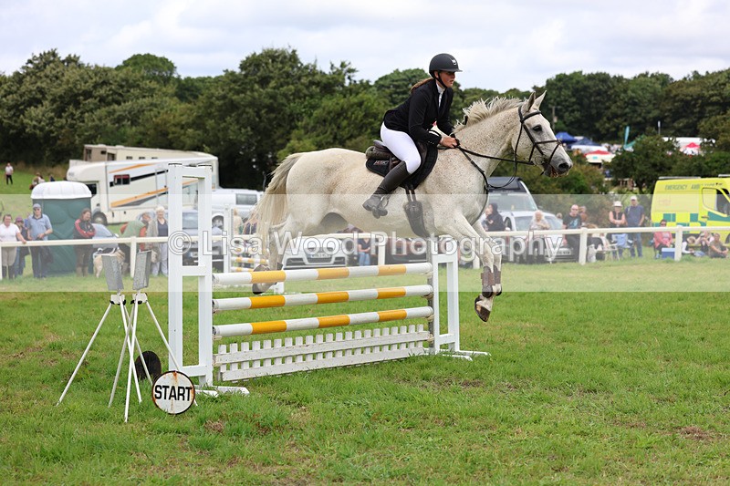 3E7A7096 - Class 5: Senior British Novice/90cm open