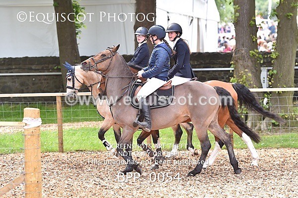 BPP_0054 - RHS 2019 Selection - *Just some random spectator shots so Lucky Dip if you are there!