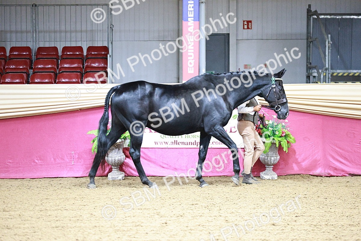 SBM_00134 - Class 1A - Area IH Diamond