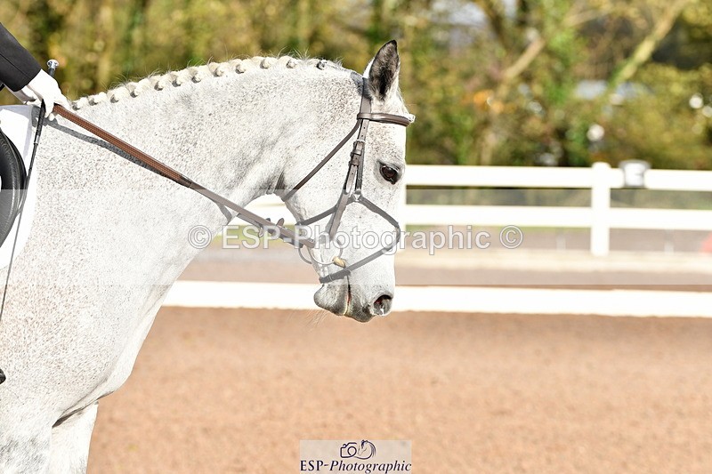 231104A-105330-00165 - Cls 4 Novice 22