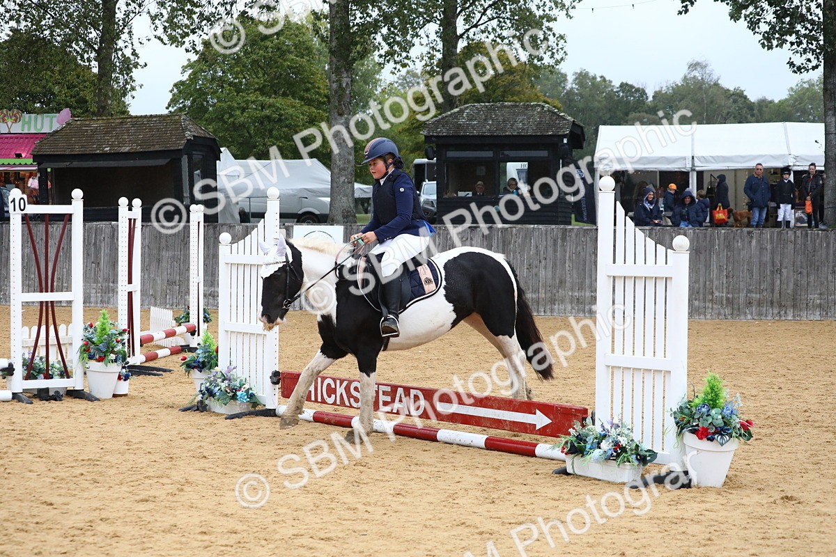 SBM_72019 - J3b - Mini Tour Junior Pony 40cm Championship