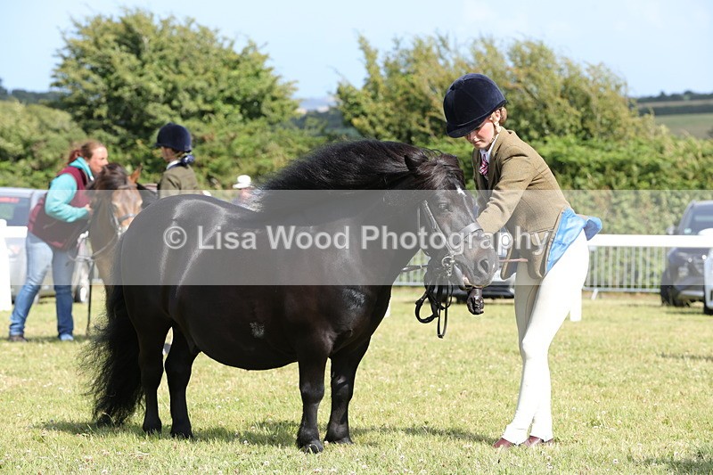 1X9A5624 - Class 39: NPS Dartmoor, Exmoor, Shetland