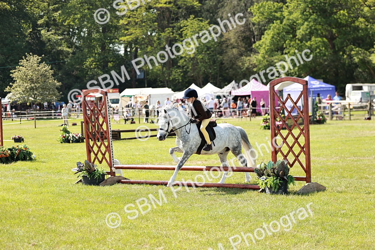 SBM_12784 - Class 106-107 - BSPS LIHS Working Sports Pony